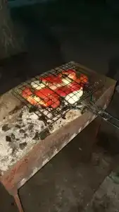 Колос - 45