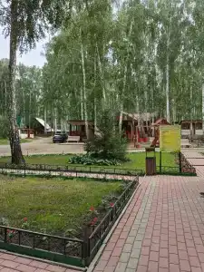 Берёзка - 36