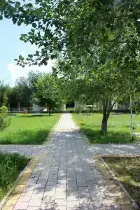 Голубая волна - 17