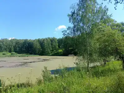 Берёзка - 2