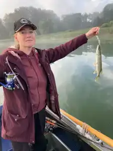 Соколино - 62