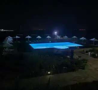 Альбатрос - 19