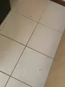 Лесная Сказка - 34