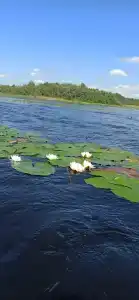 Гостевой дом на берегу реки с баней - 12