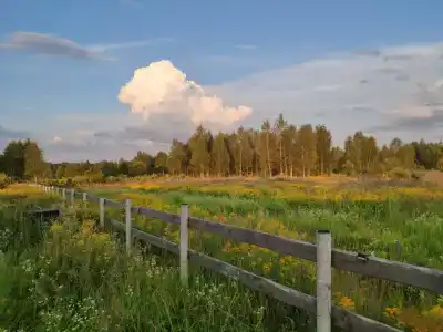 ПолеДом - 96