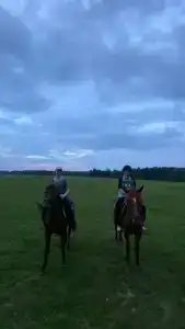 Бородино - 50