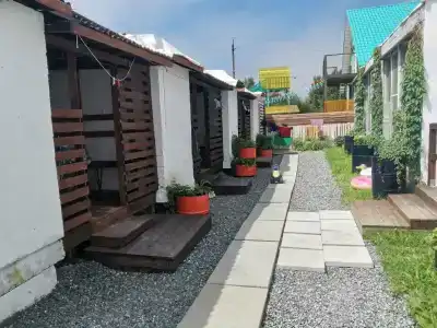 Золотари 5+ - 20