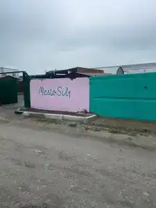 Место Силы - 5