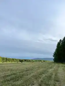 Хутор Мельница - 5
