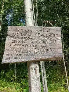 Вгости - 23