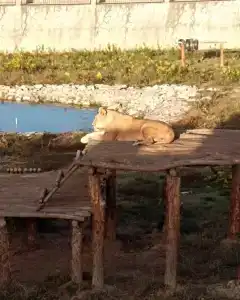 Rafo&Ella - 2