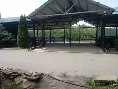Ласточка - 4