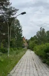Лесное озеро - 11