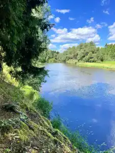 Родионова дача - 0