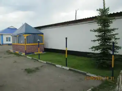 Уютный дворик у Андрея - 13