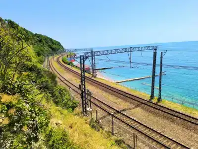 Гостевой дом у Кедра - 5