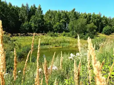 Дом на озере в Борщево - 40