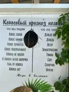Море в волосах - 35