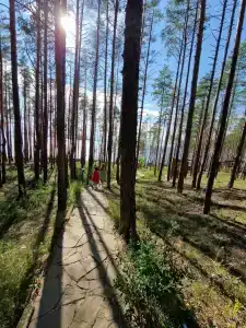 Разгуляево - 65