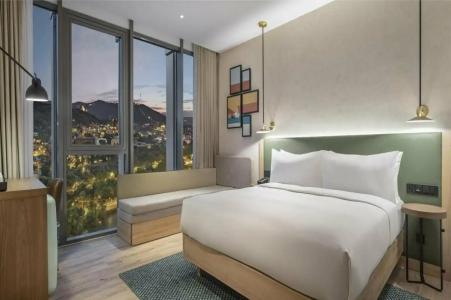 Hilton Garden Inn Tbilisi Riverview - 46