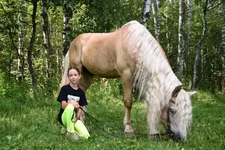 ХвояХутор - Казачий Курень - 67