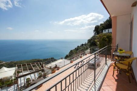 Holidays Fico D'India - 2