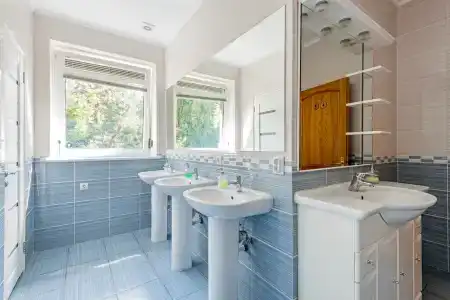 Скворечник - 50