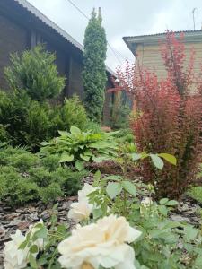 Постоялый Двор - 70