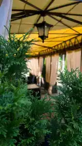 Пионер 32 - 46