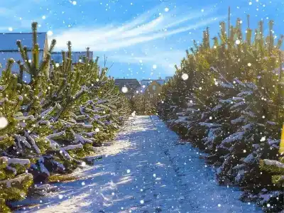 Лукоморье - 70