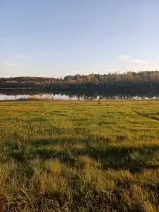 Сендега - 24