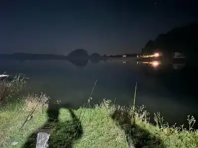 Золотая рыбка - 11