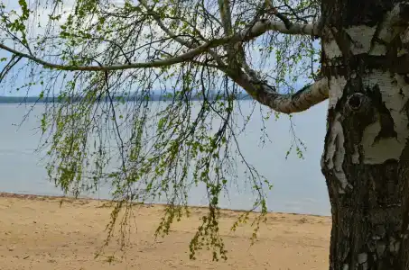 Гостевой дом на озере Сказка - 10
