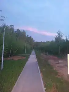 Земляничный - 69