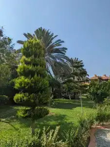 Alaiye Resort & Spa - Ultra All Inclusive - 38