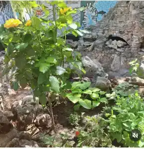 Пансионат Сказка - 43