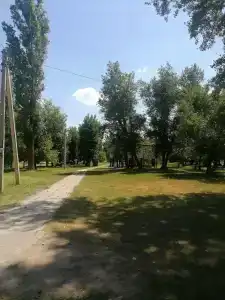 Тишанка - 61
