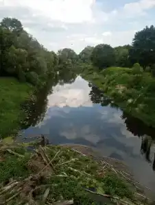 Вальдхаузен - 96