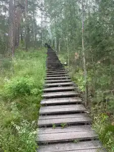 Турголд - 15