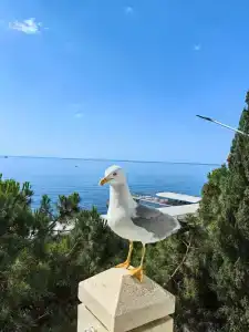 на море хочу - 5