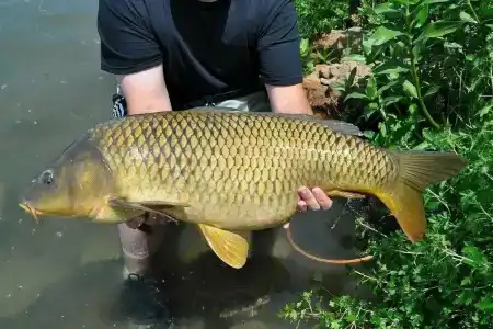 Лукоморье - 51