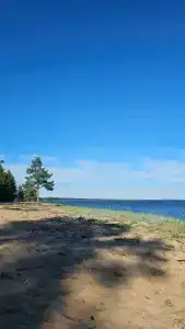 Белый кит - 47