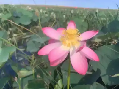 Морское Небо - 33