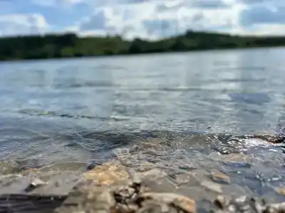 Сосенки Lounge - 25