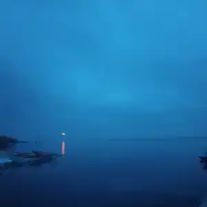 Чайка - 37