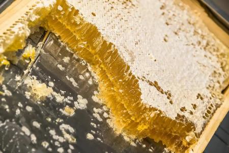 Grotthuss Boutique Vilnius - 53