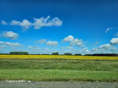 Дека-трактир - 10