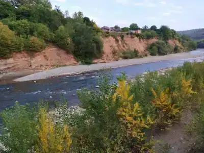 Эдельвейс - 18