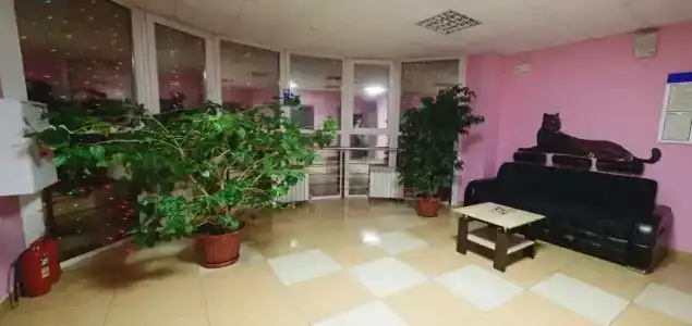 Пантера - 28