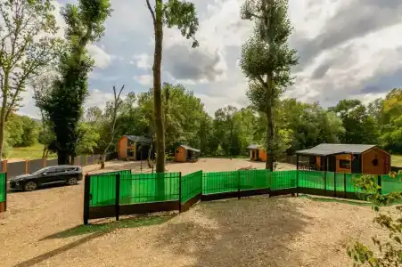 Шелест - 18